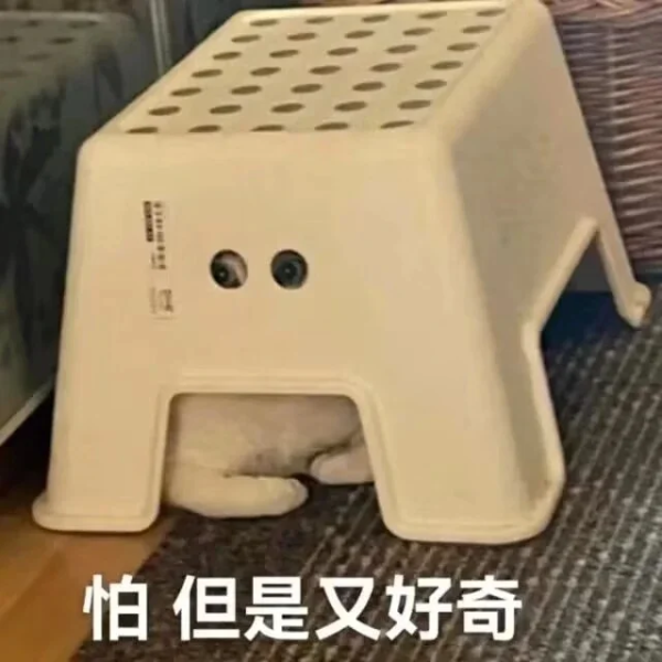 极氪007智驾初体验之“夜间篇”