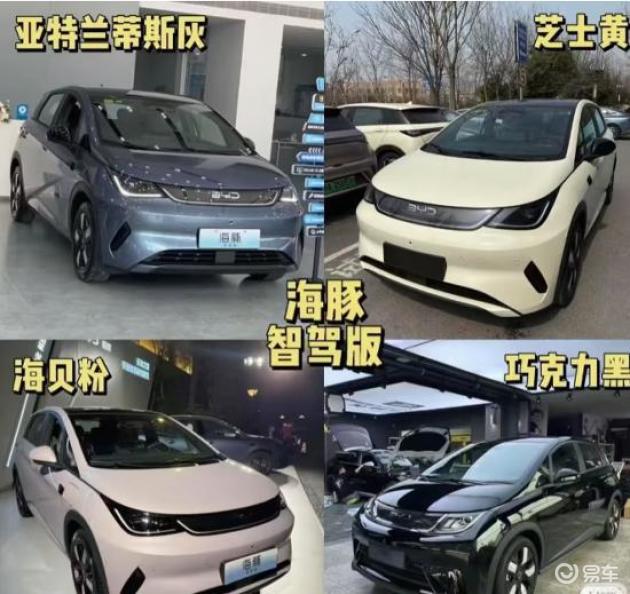 2025比亚迪海豚：潮玩新座驾，深度体验评测