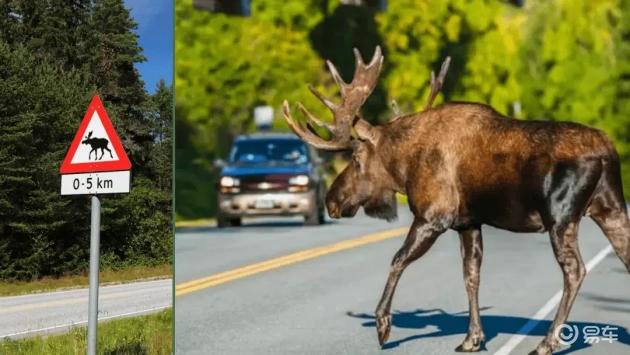 ES8纯电大三排SUV驾驶体验与避险上限揭秘